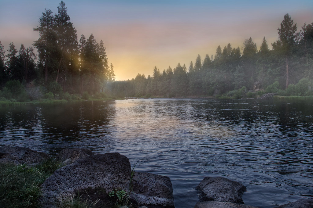Rivière bordée d arbres au lever du jour